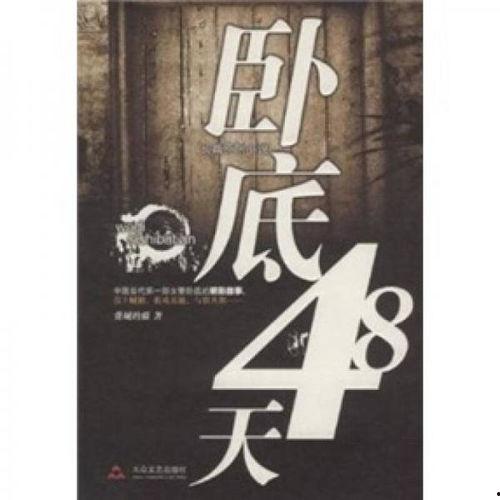 卧底48天在线观看,揭秘卧底警察的惊险历程